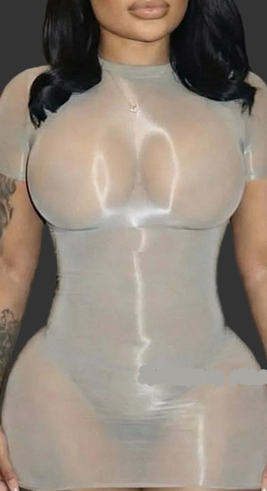 Second Skin Mesh Dress